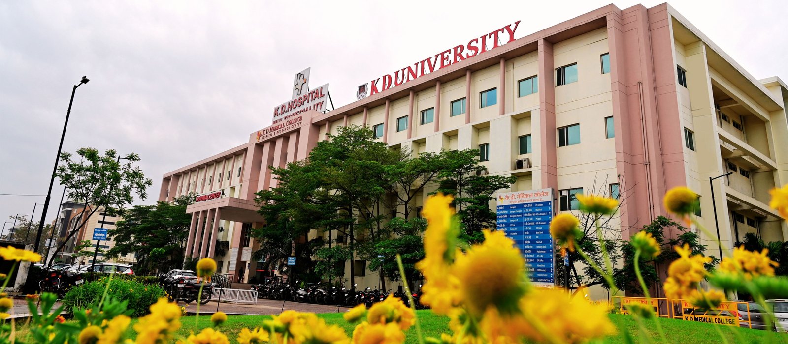 KD Medical Center