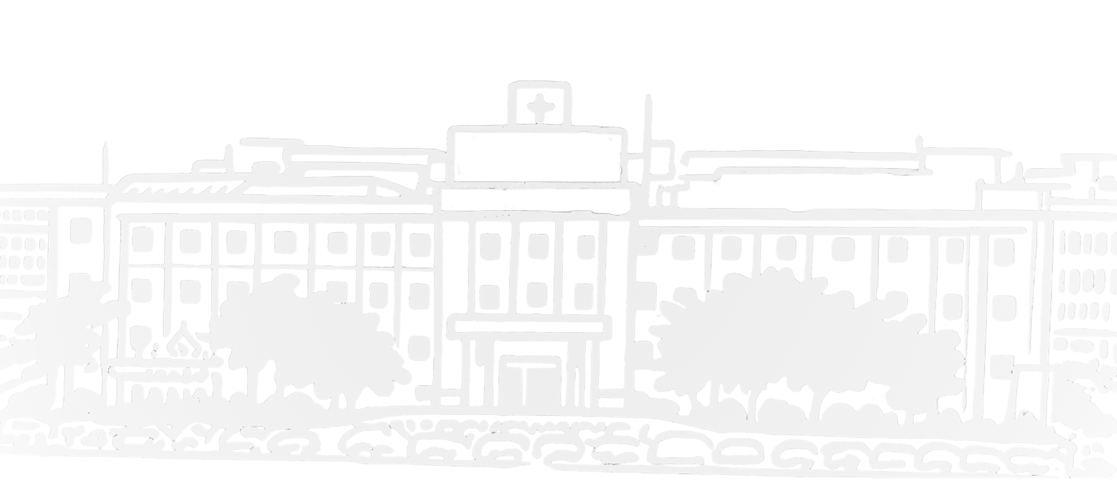K D UNIVERSITY Logo